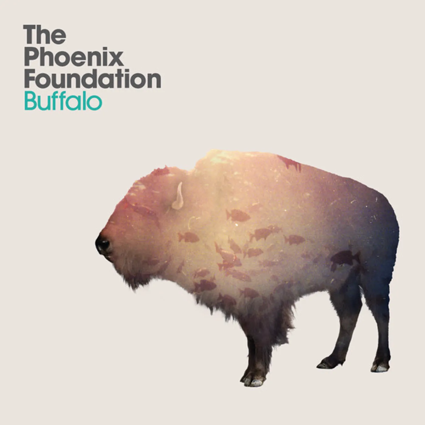 Phoenix Foundation BUFFALO (10 YEAR ANNIVERSARY EDITION/ORANGE VINYL/DL CARD) Vinyl Record