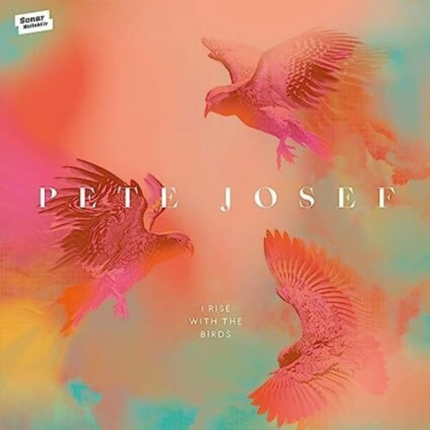 Pete Josef I RISE WITH THE BIRDS CD