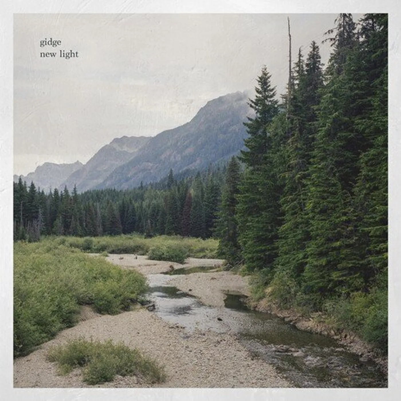 Gidge NEW LIGHT Vinyl Record