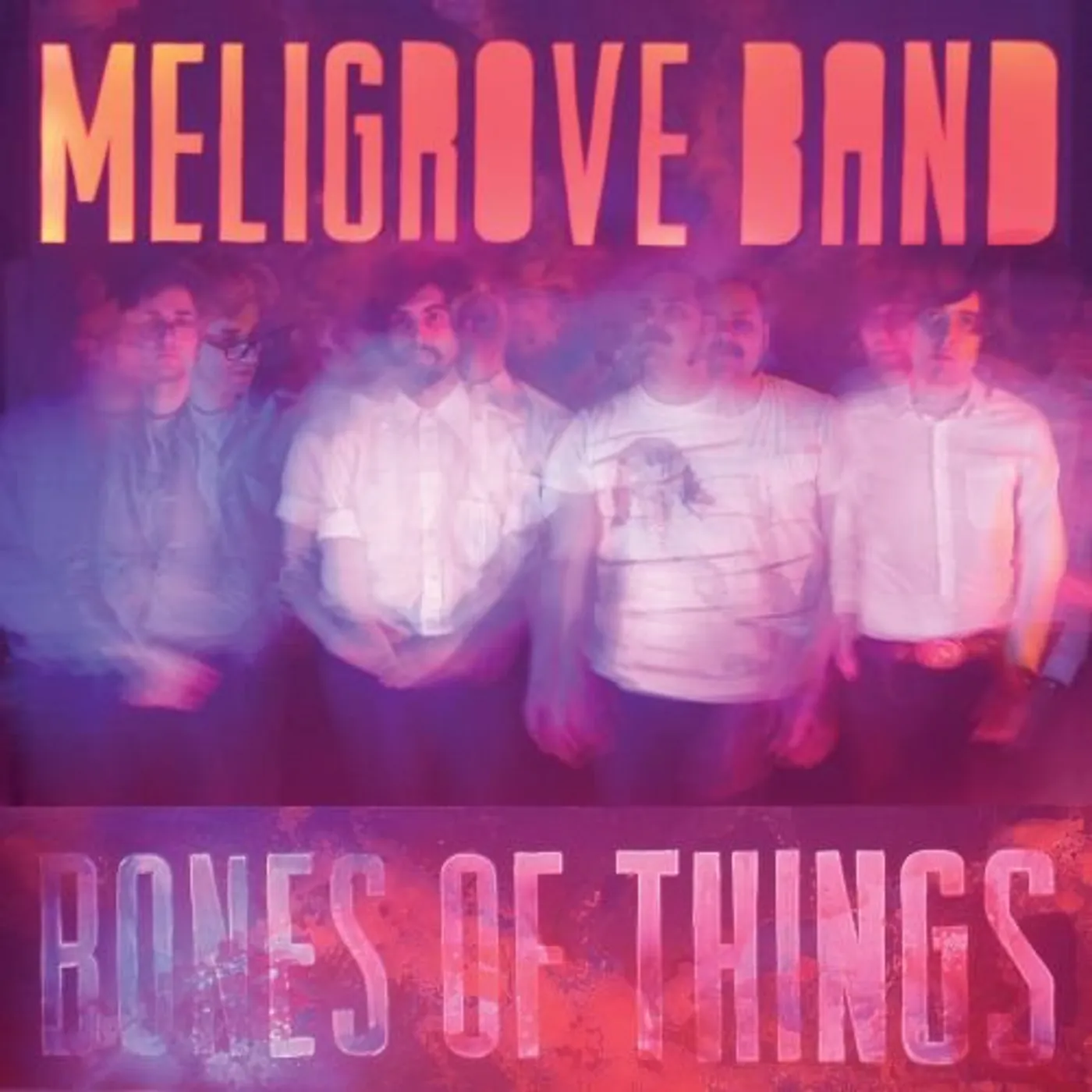 The Meligrove Band Bones of Things Vinyl Record