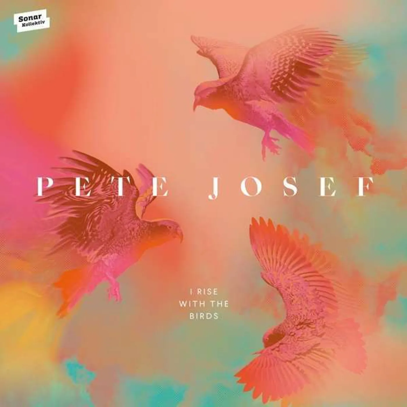 Pete Josef I Rise with the Birds Vinyl Record
