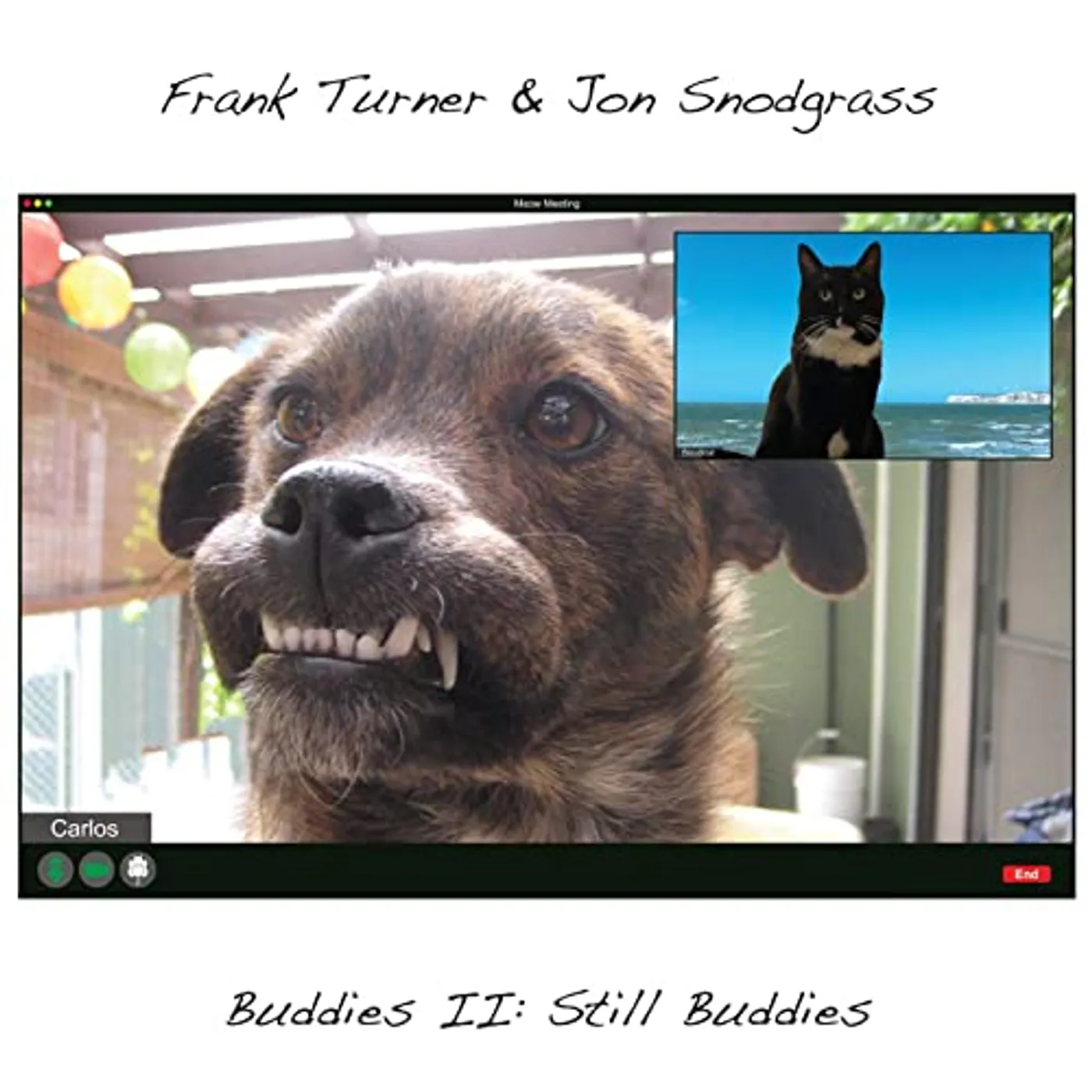 Frank Turner / Jon Snodgrass Buddies II: Still Buddies Vinyl Record