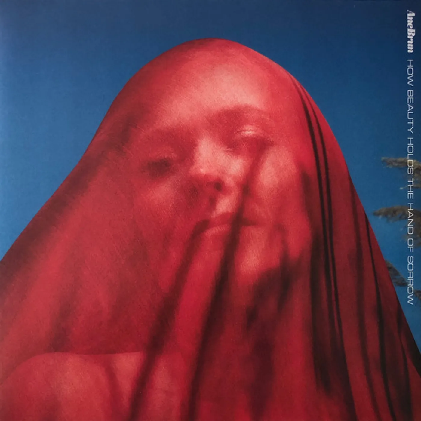 Ane Brun HOW BEAUTY HOLDS THE HAND OF SORROW (RED VINYL) Vinyl Record