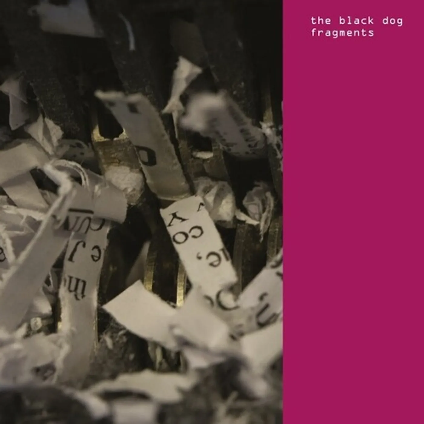 Black Dog FRAGMENTS CD