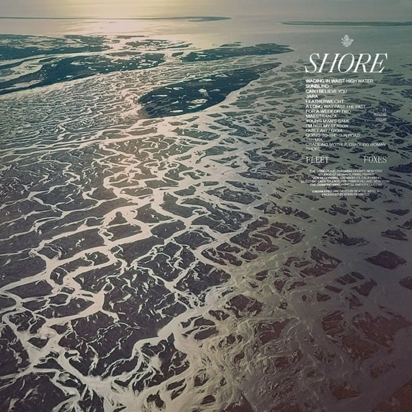 Fleet Foxes Shore Vinyl Record