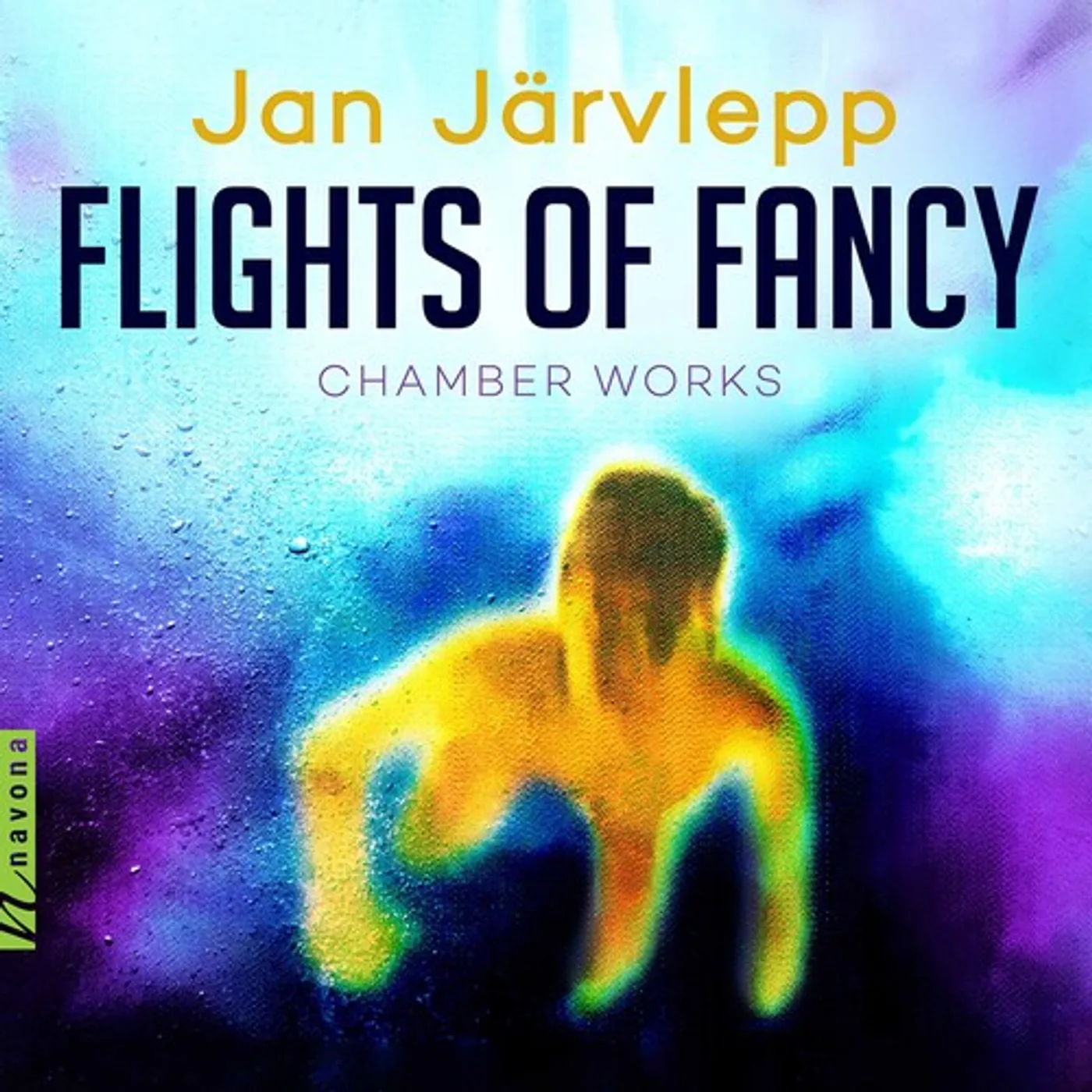 Jarvlepp FLIGHTS OF FANCY CD