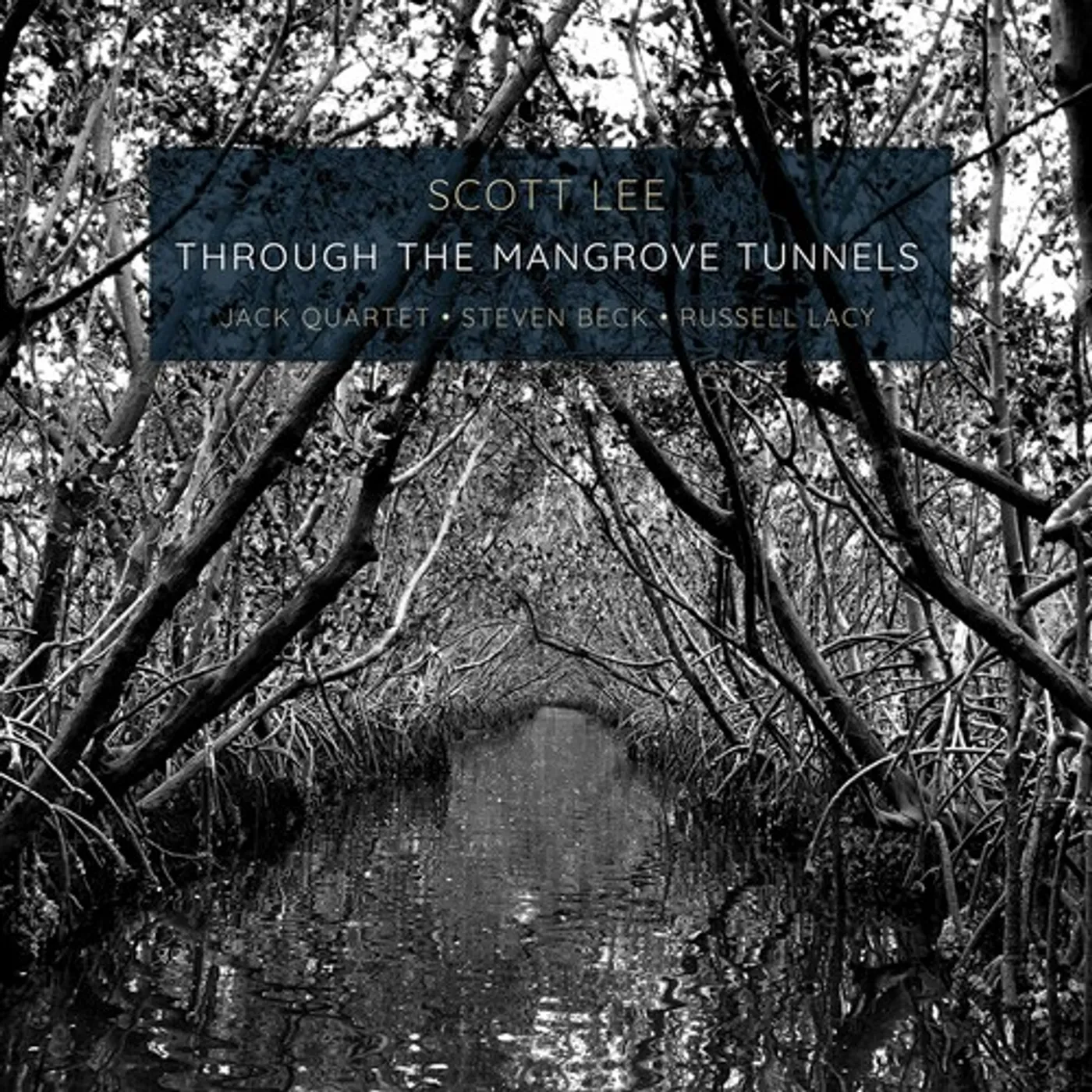 Scott Lee  THROUGH THE MANGROVE TUNNELS CD