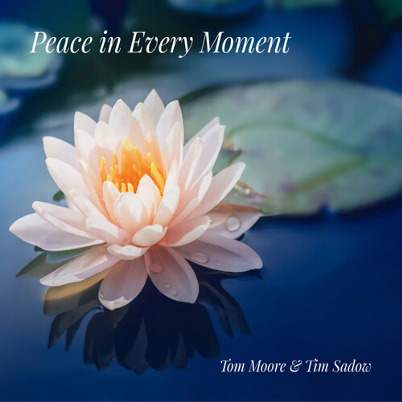 Tom Moore & Tim Sadow PEACE IN EVERY MOMENT CD