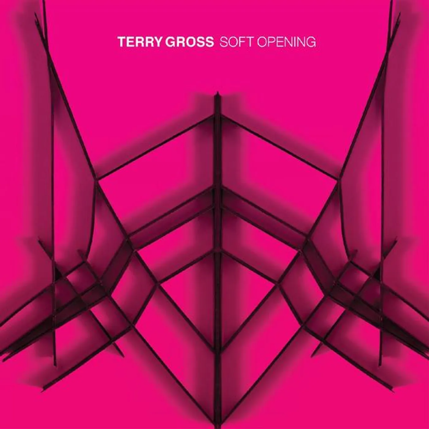 Terry Gross SOFT OPENING Vinyl Record