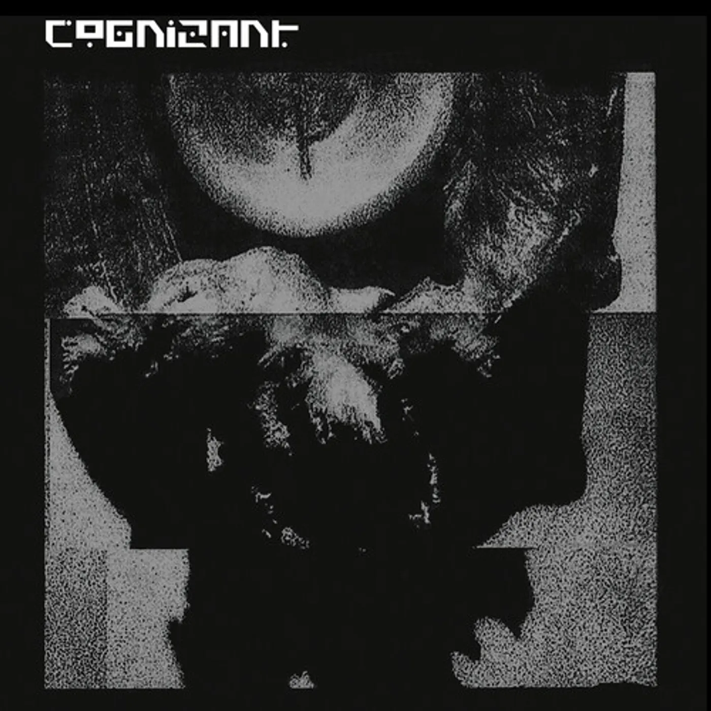 COGNIZANT CD