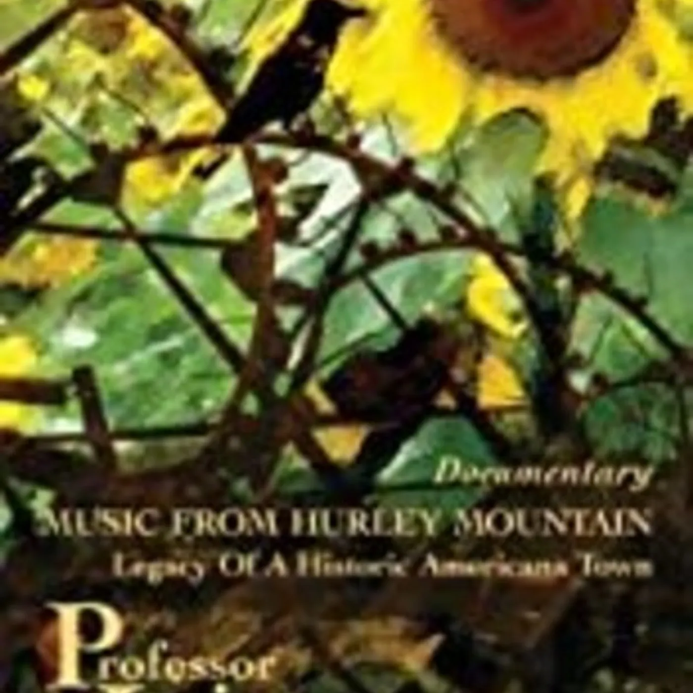 Professor Louie & The Crowmatix MUSIC FROM HURLEY MOUNTAIN DVD