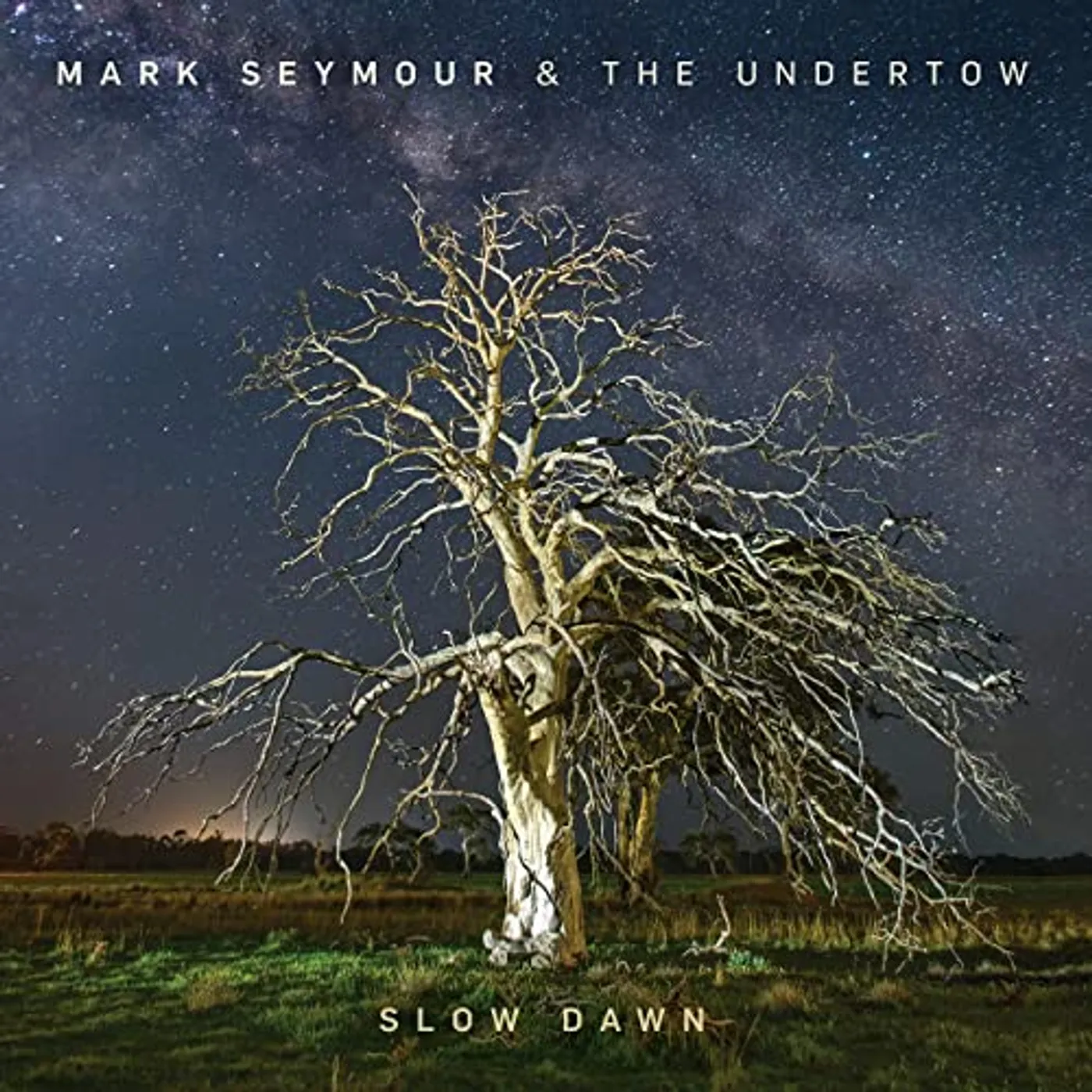 Mark Seymour & The Undertow Slow Dawn Vinyl Record