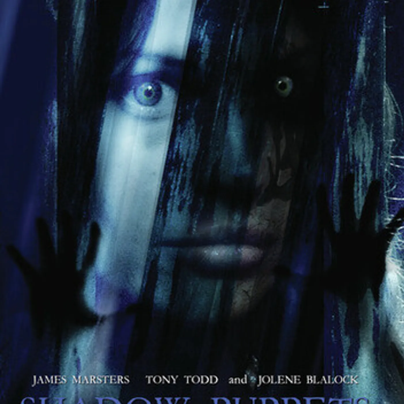 SHADOW PUPPETS DVD