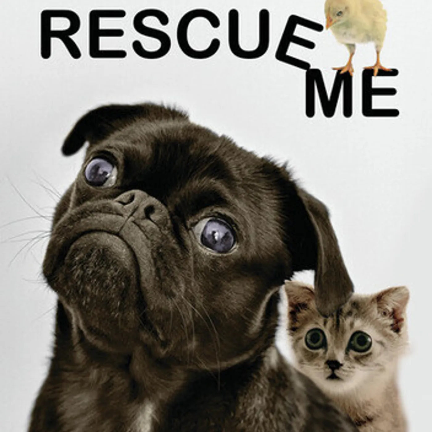 RESCUE ME DVD