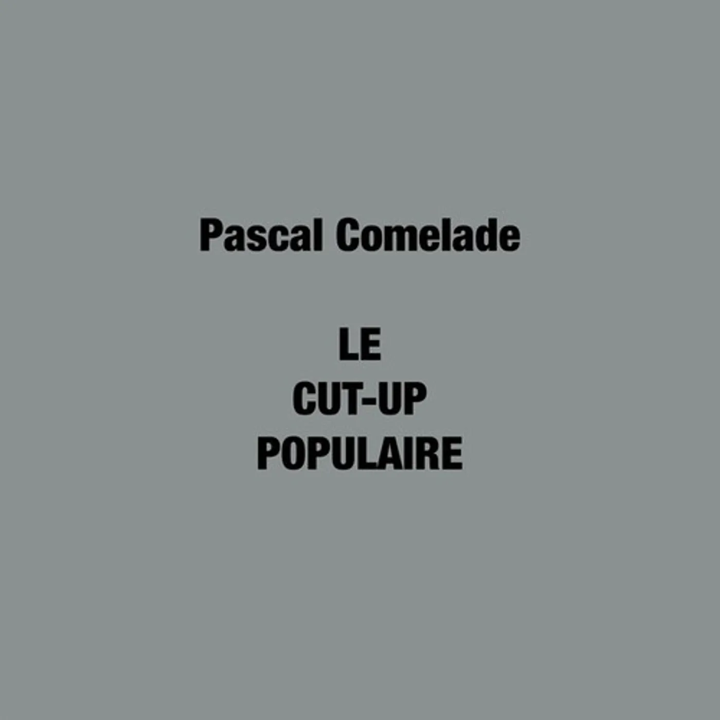 Pascal Comelade Le cut-up populaire Vinyl Record
