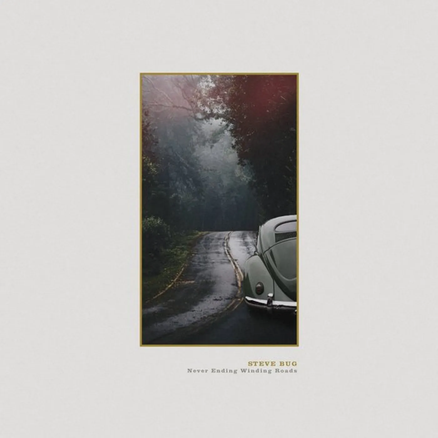 Steve Bug Never Ending Winding Roads Vinyl Record
