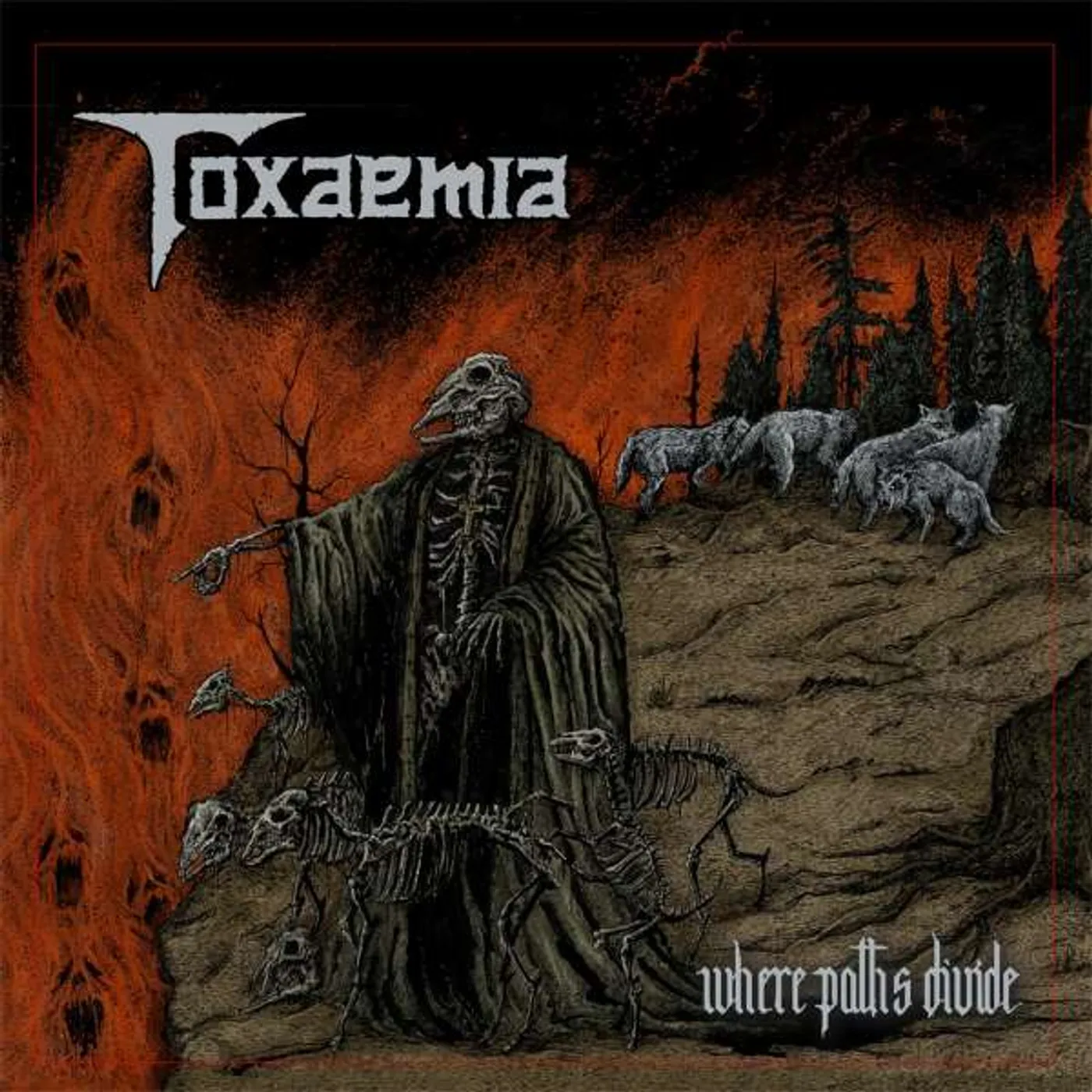 Toxaemia Where Paths Divide Vinyl Record