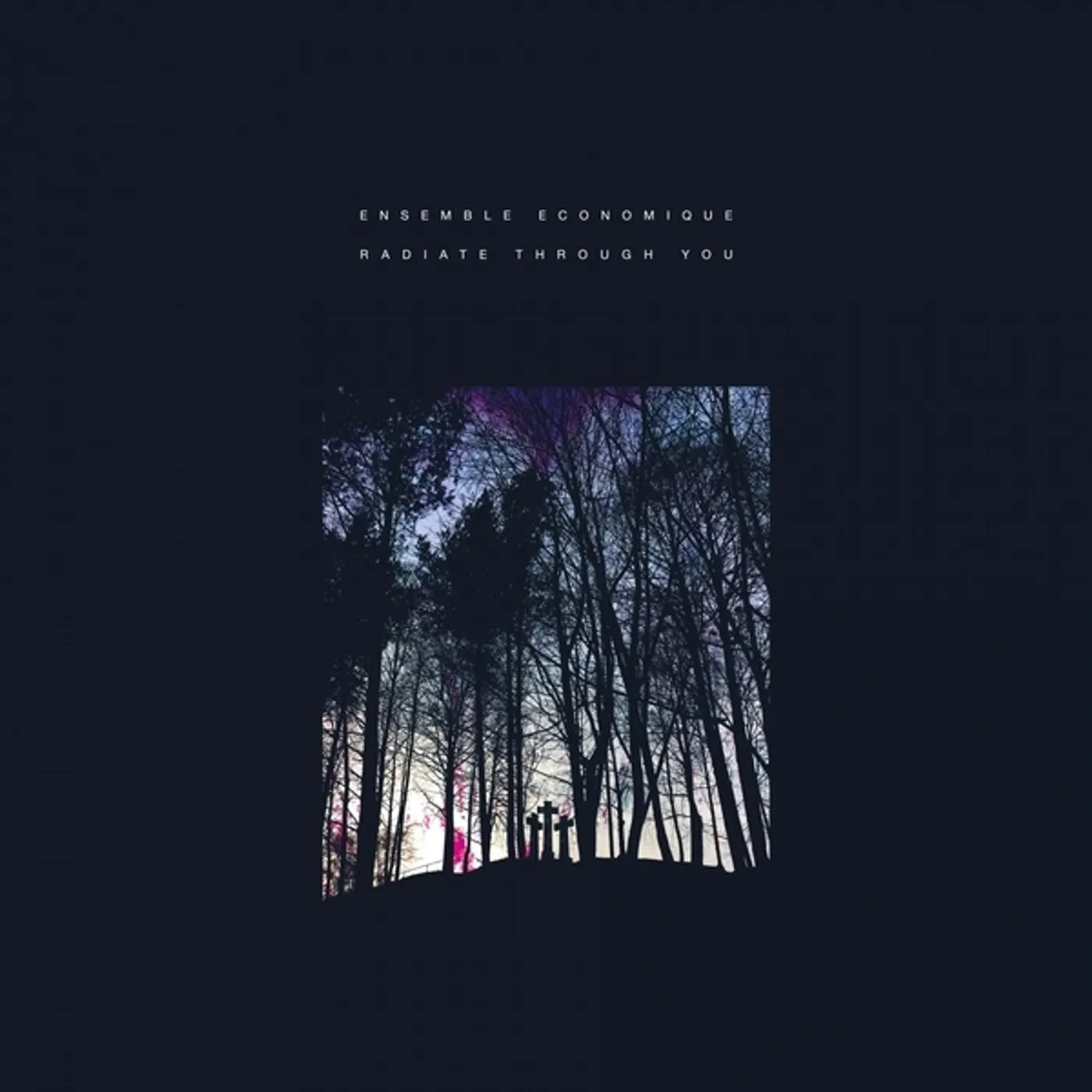 Ensemble Economique Radiate Through You Vinyl Record
