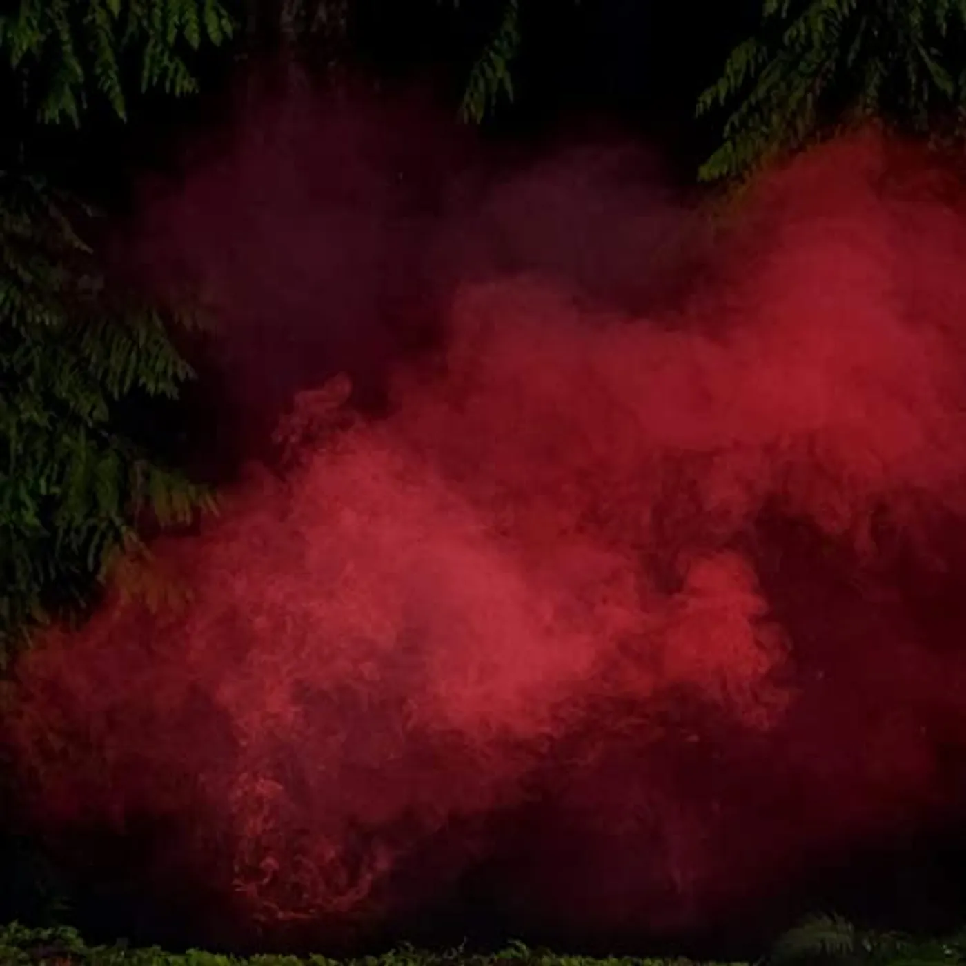 P.A. Hulsenbeck & Michael Schonheit Reaping From The Conflux Vinyl Record