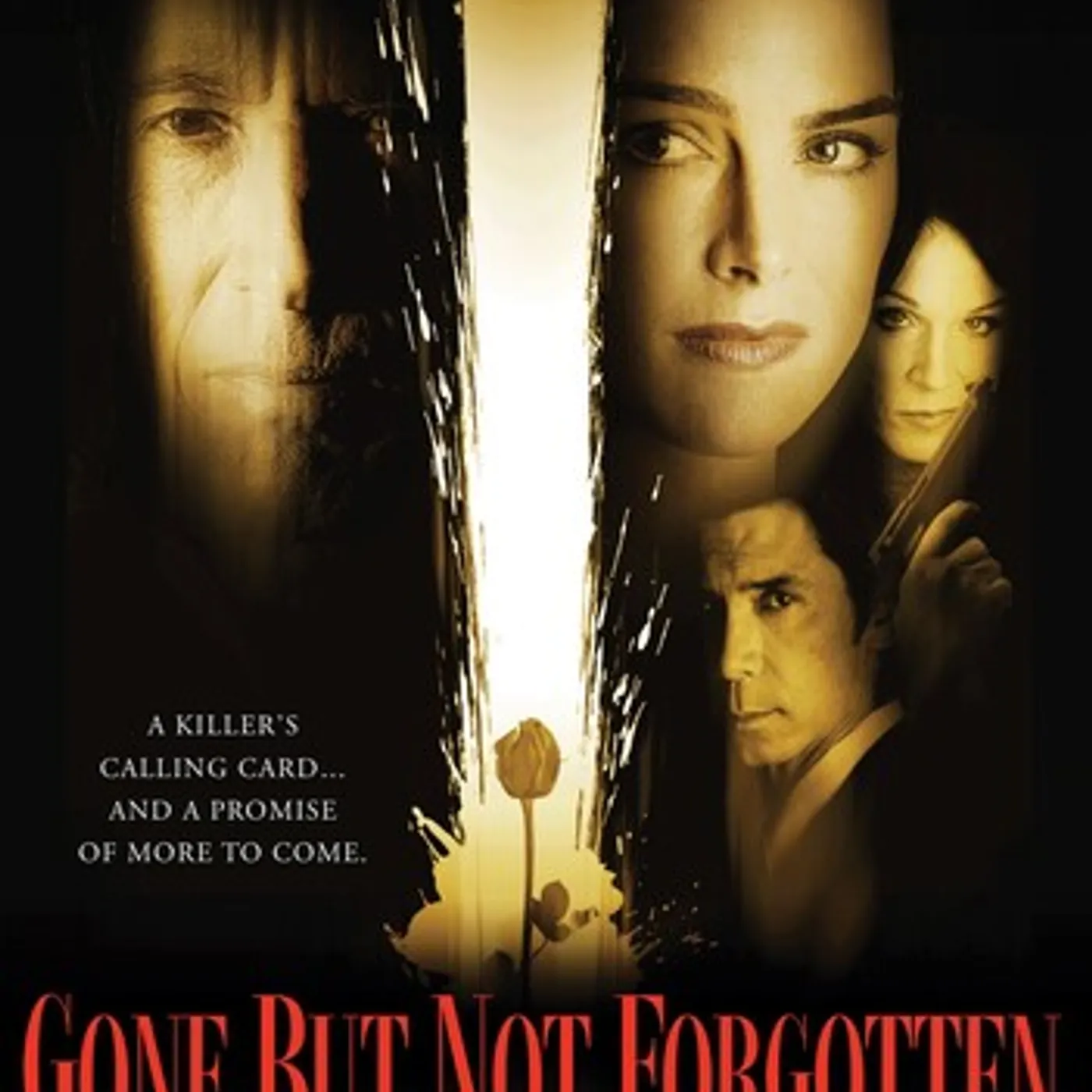 GONE BUT NOT FORGOTTEN DVD