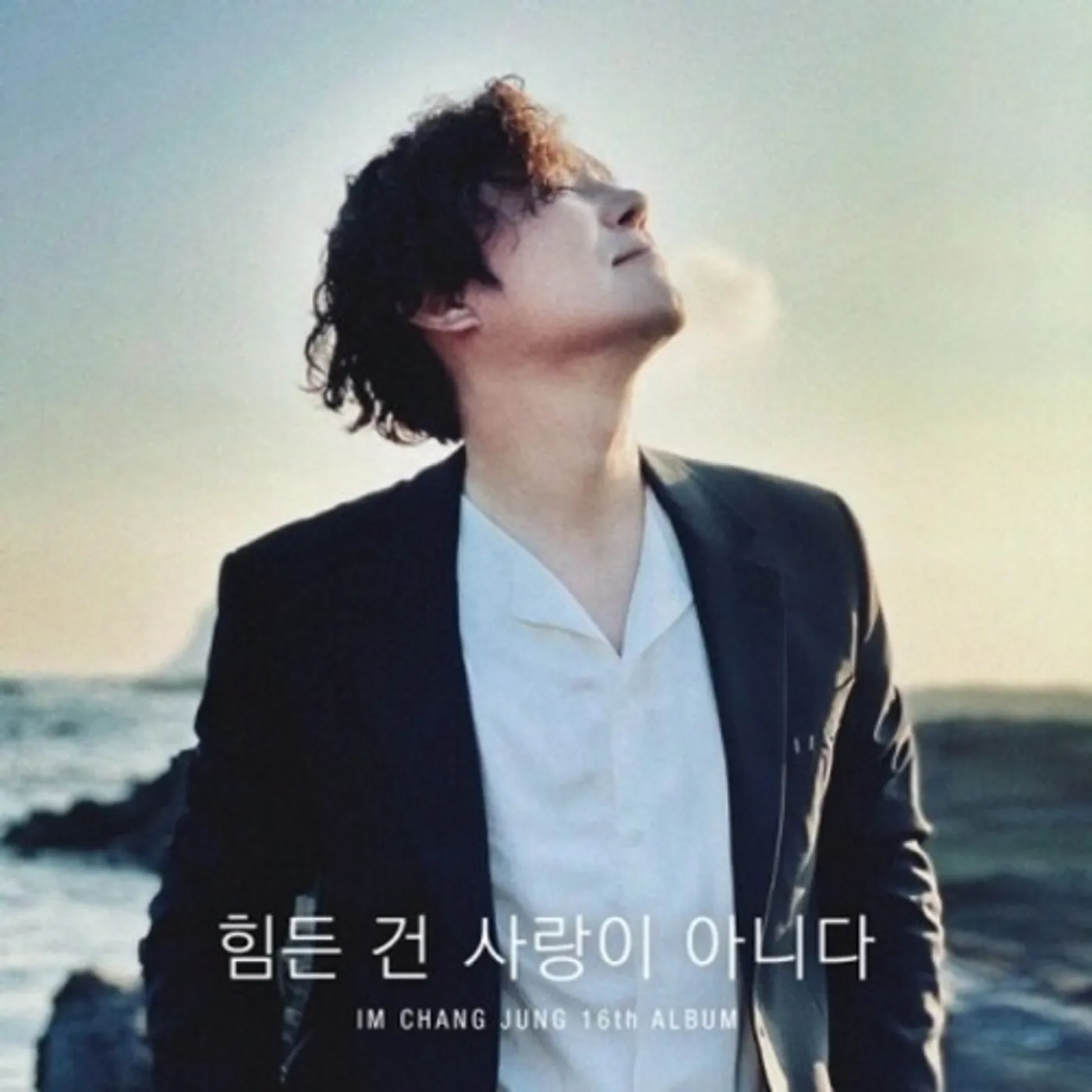 IM CHANG JUNG IT'S NOT LOVE THAT'S HARD CD