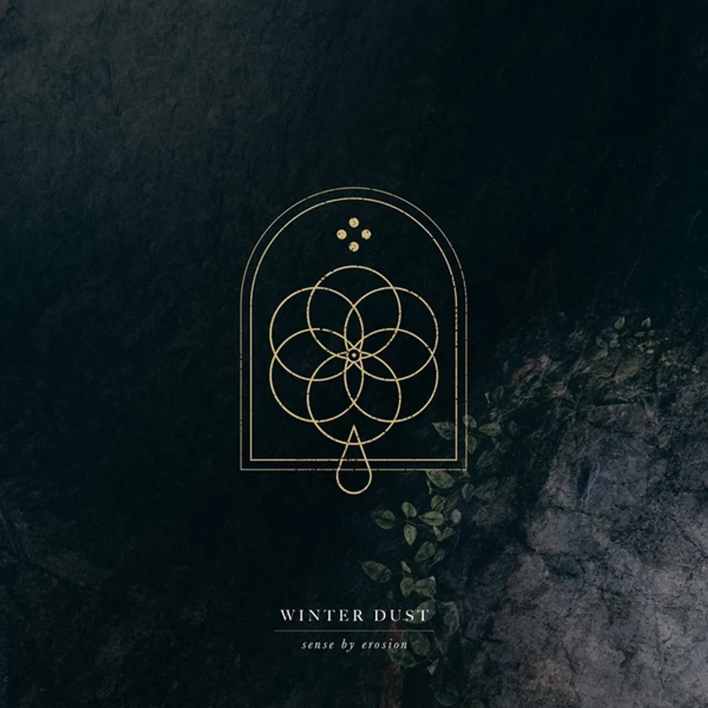 Winter Dust SENSE BY EROSIN Vinyl Record