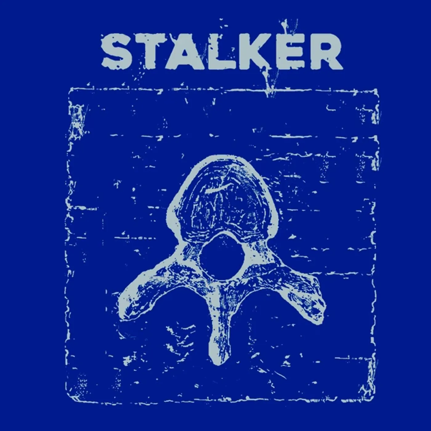 Stalker VERTEBRE Vinyl Record
