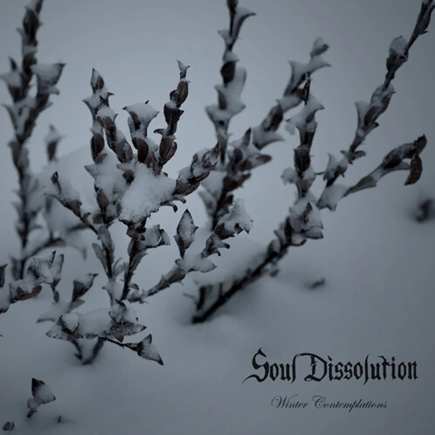Soul Dissolution WINTER CONTEMPLATIONS CD