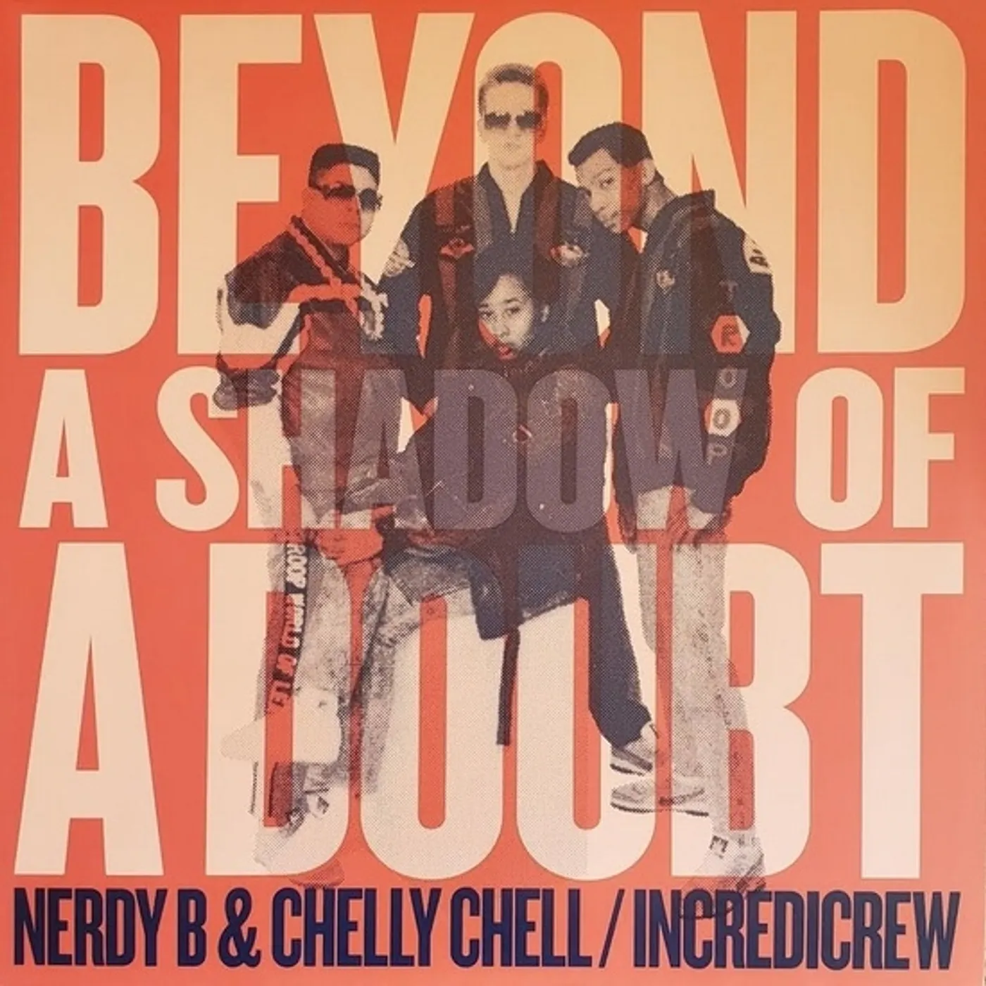 Nerdy B / Chelly Chell Beyond A Shadow Of A Doubt Vinyl Record
