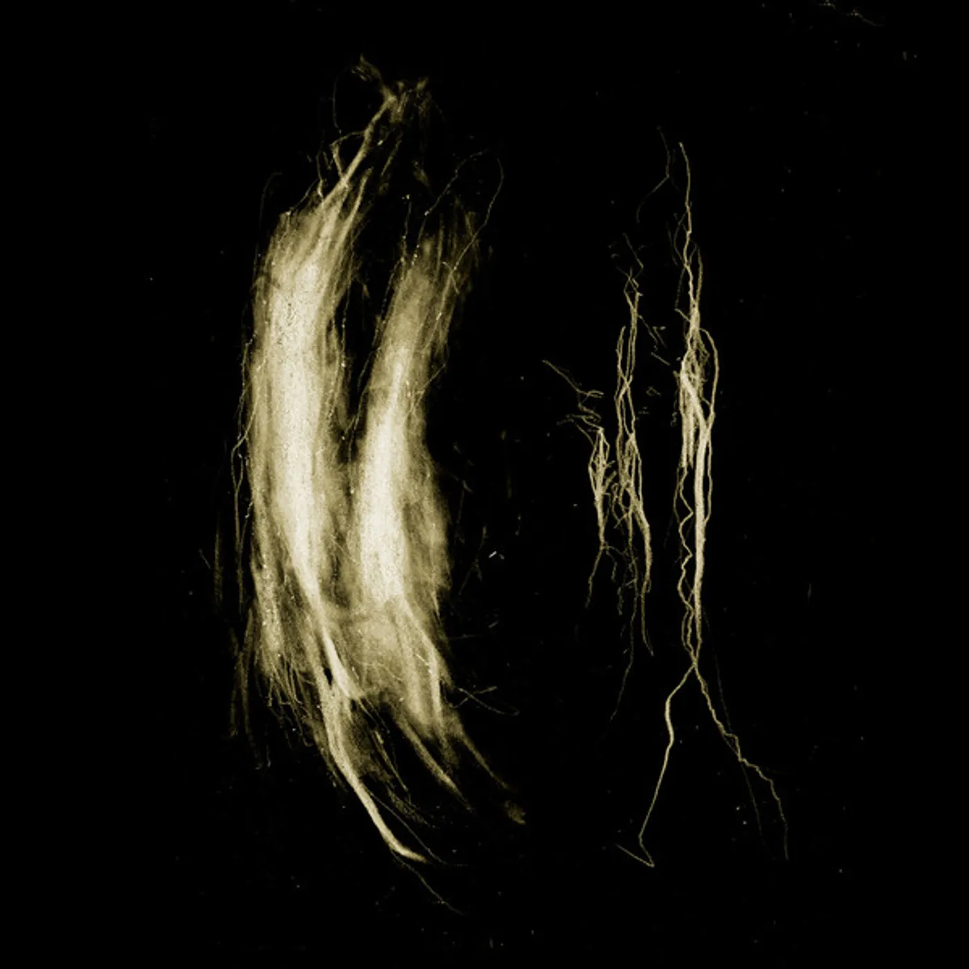 My Heart, an Inverted Flame PLAGUE NOTES Vinyl Record