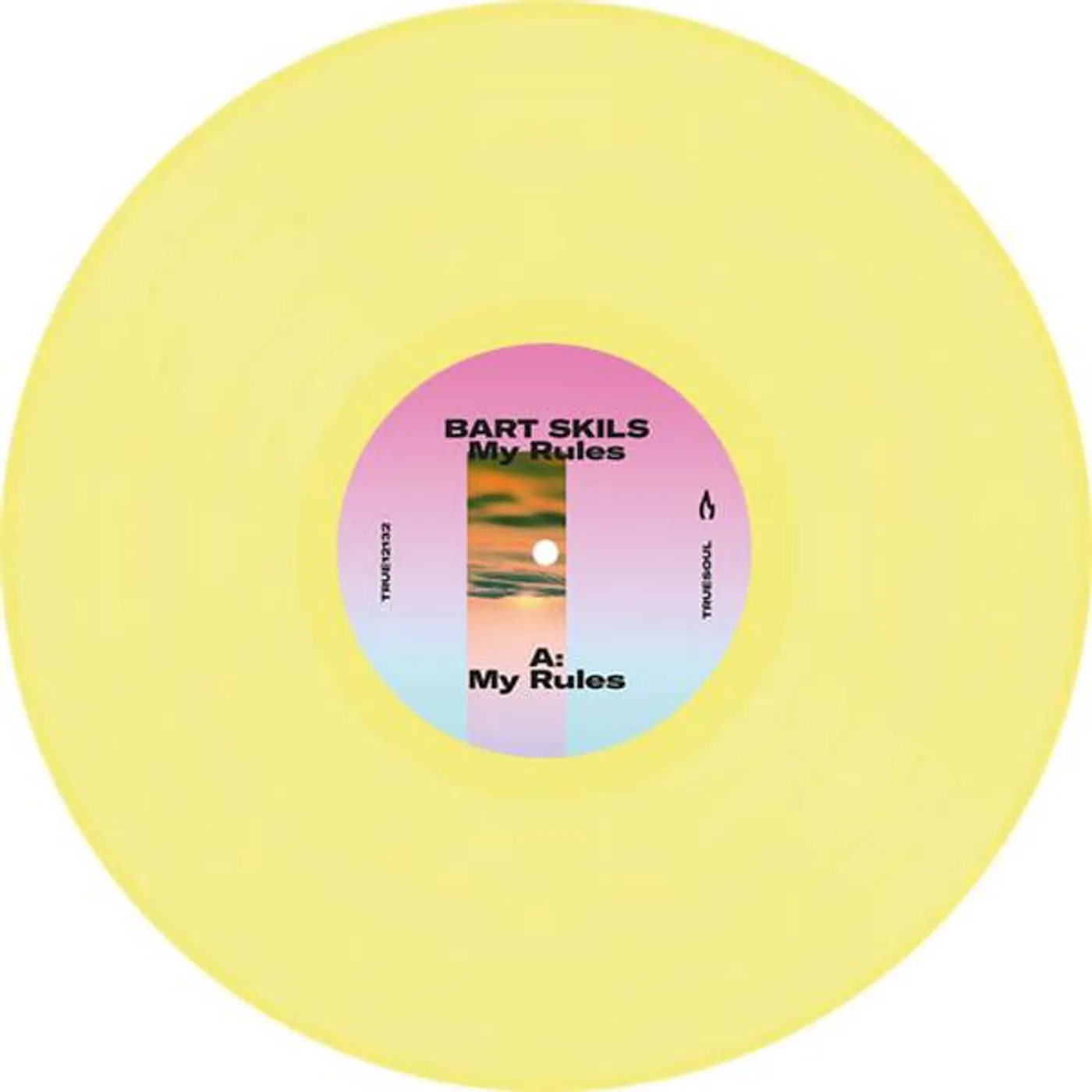 Bart Skils My Rules Vinyl Record