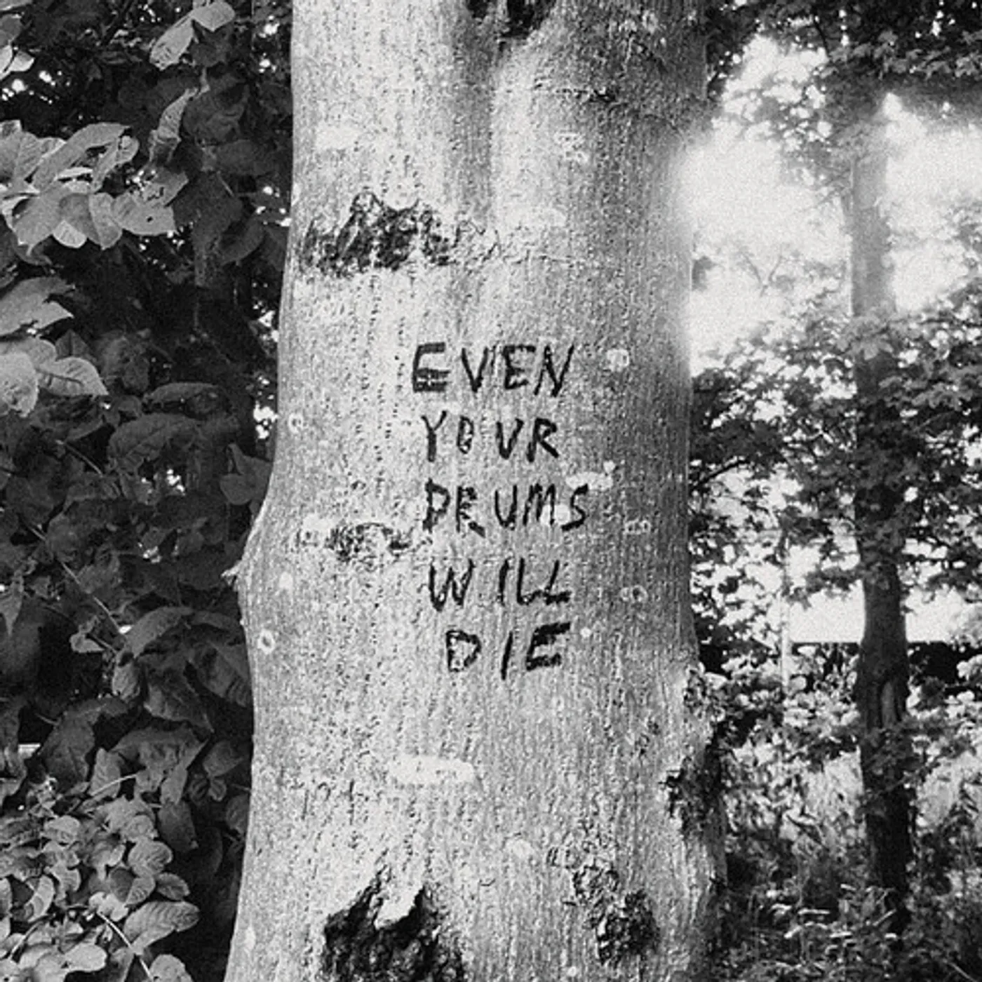 Richard Swift EVEN YOUR DRUMS WILL DIE: LIVE AT PENDARVIS Vinyl Record