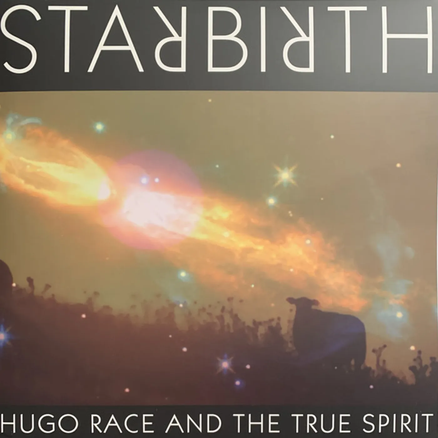 Hugo Race & The True Spirit STAR BIRTH STAR DEATH Vinyl Record