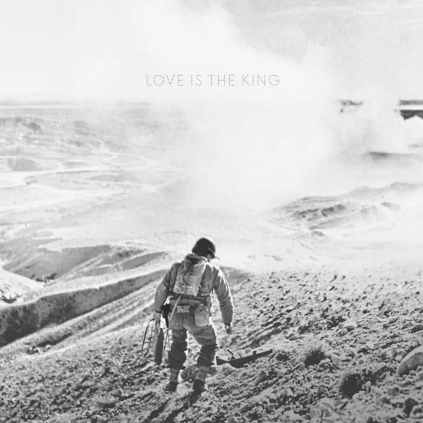 Jeff Tweedy Love Is The King Vinyl Record