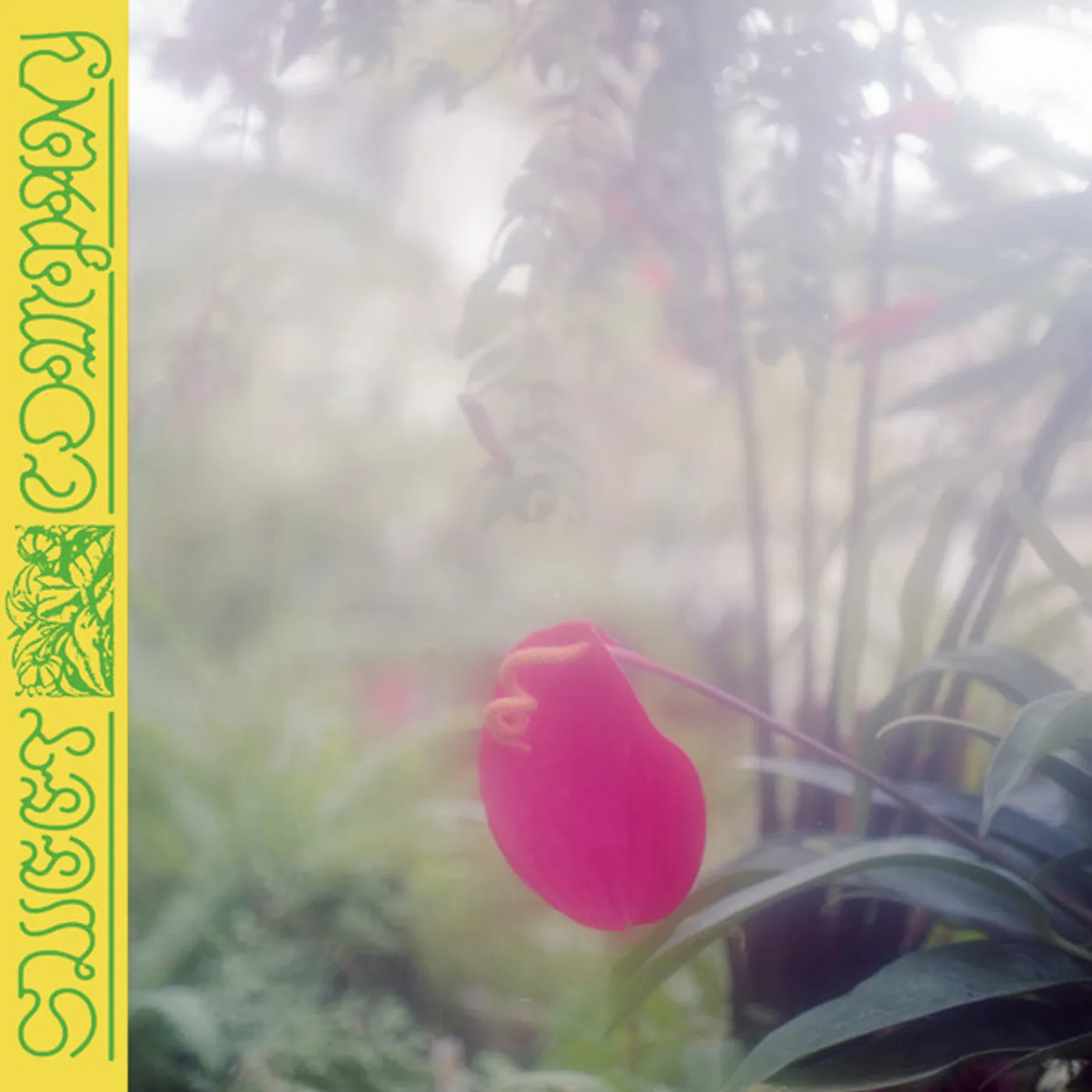 Jabu SWEET COMPANY CD