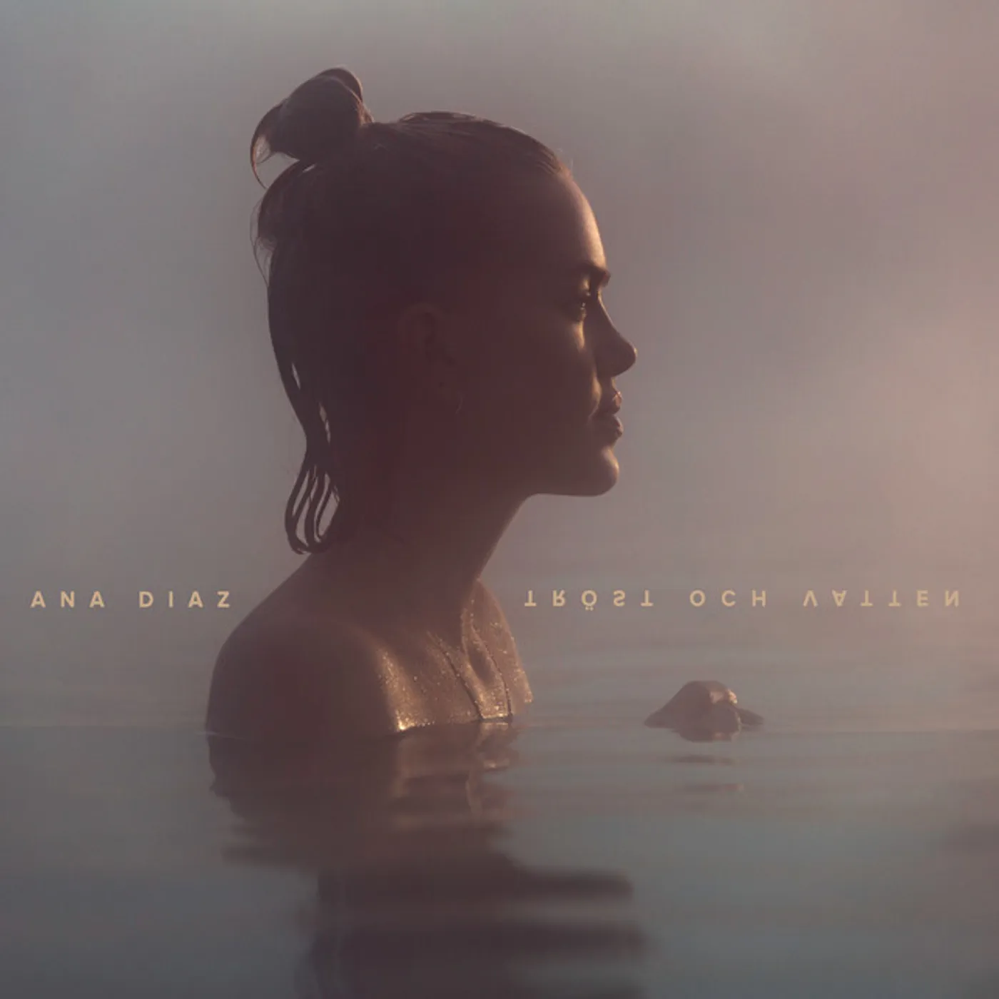 Ana Diaz TROST OCH VATTEN Vinyl Record