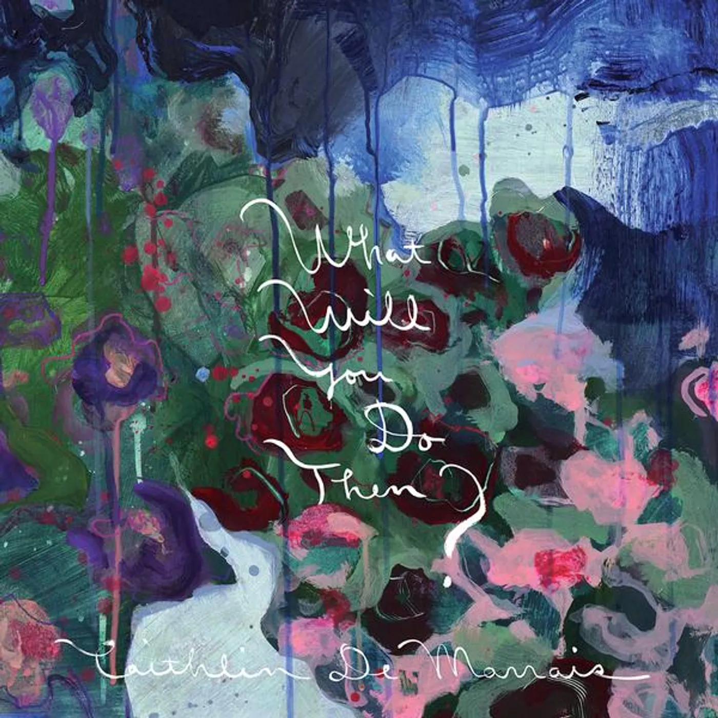Caithlin De Marrais WHAT WILL YOU DO THEN? CD