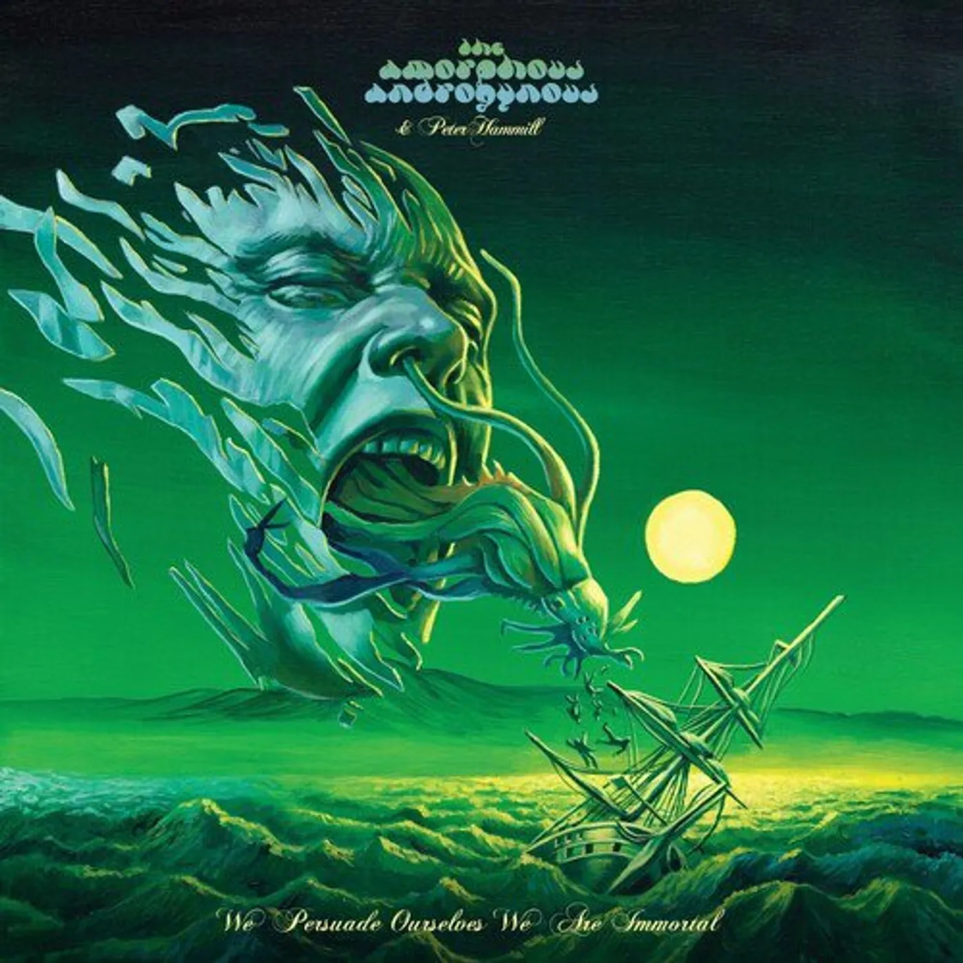 Amorophous Androgynous / Peter Hammill We Persuade Ourselves We Are Immortal Vinyl Record