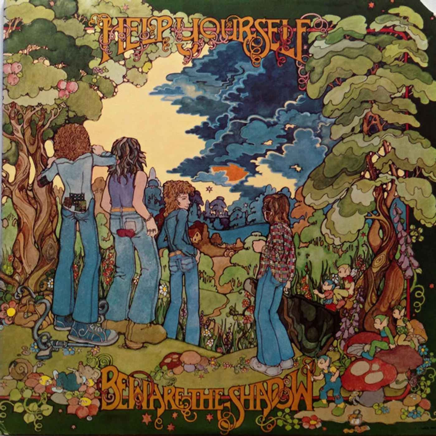 Help Yourself Beware the Shadow Vinyl Record