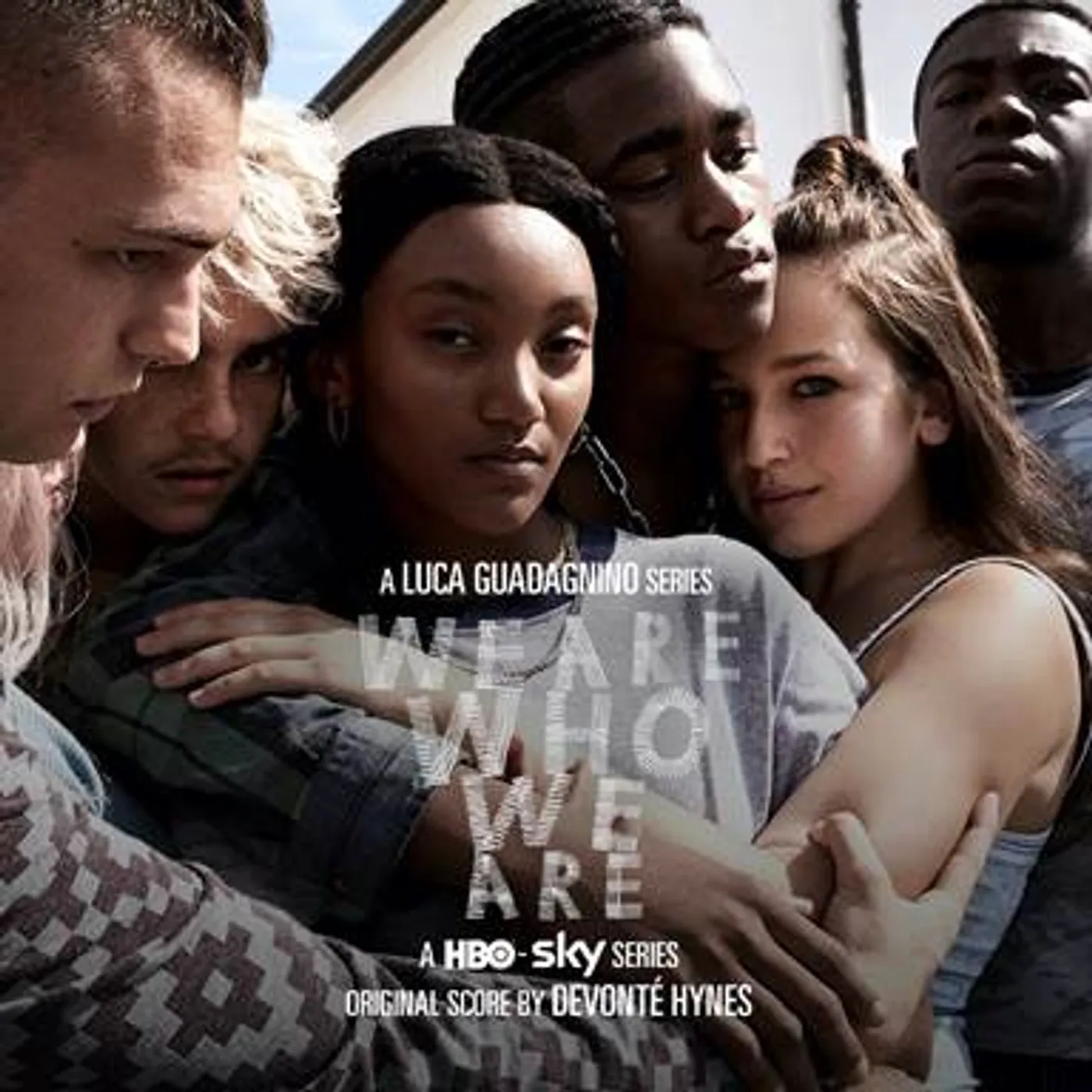 Devonté Hynes WE ARE WHO WE ARE (ORIGINAL SERIES SOUNDTRACK) Vinyl Record