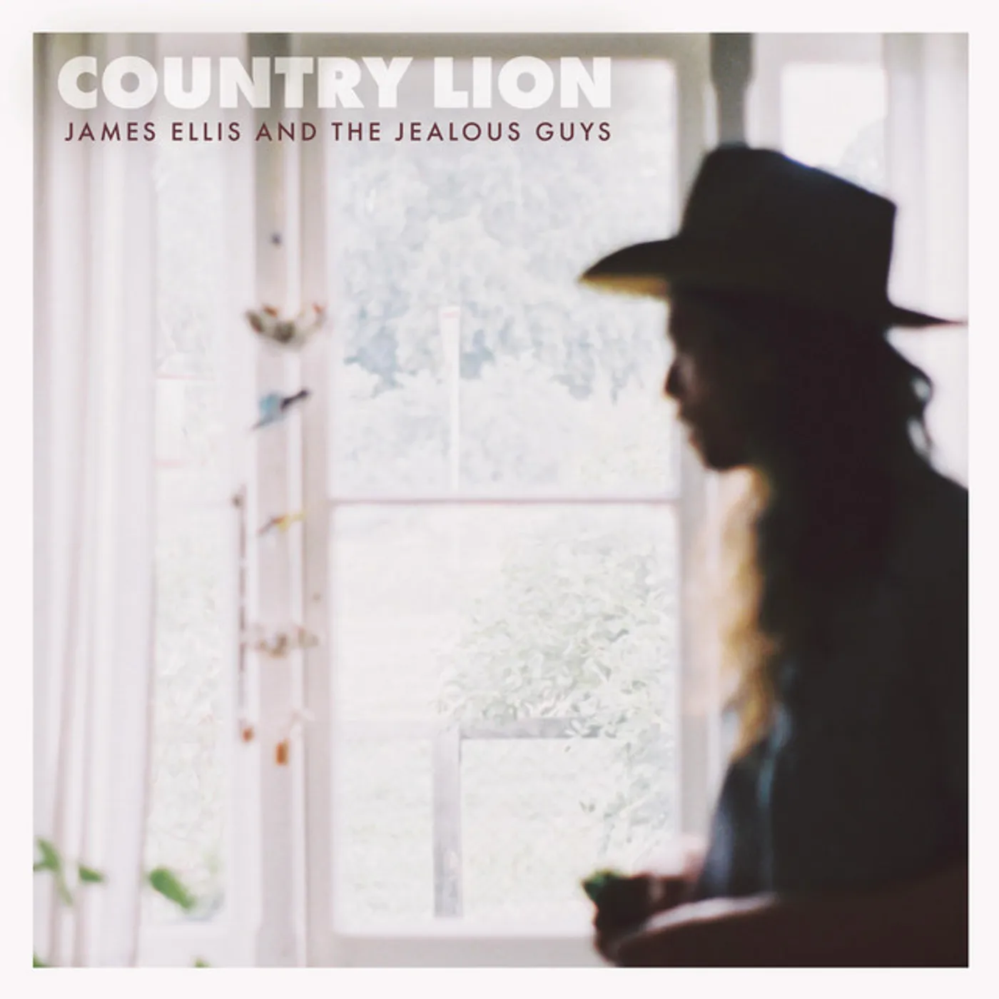 James Ellis and the Jealous Guys Country Lion Vinyl Record