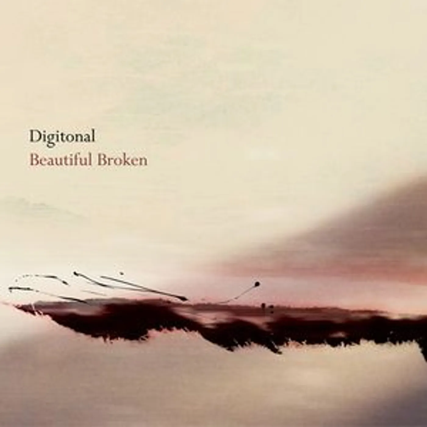 Digitonal BEAUTIFUL BROKEN CD