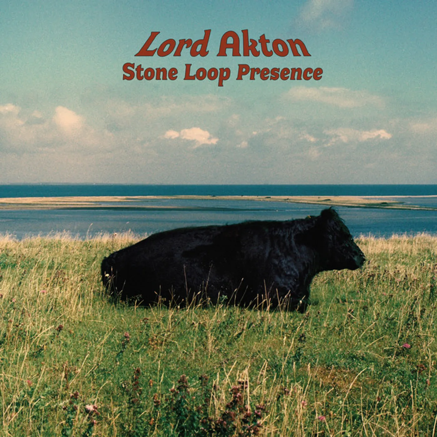 Lord Akton Stone Loop Presence Vinyl Record