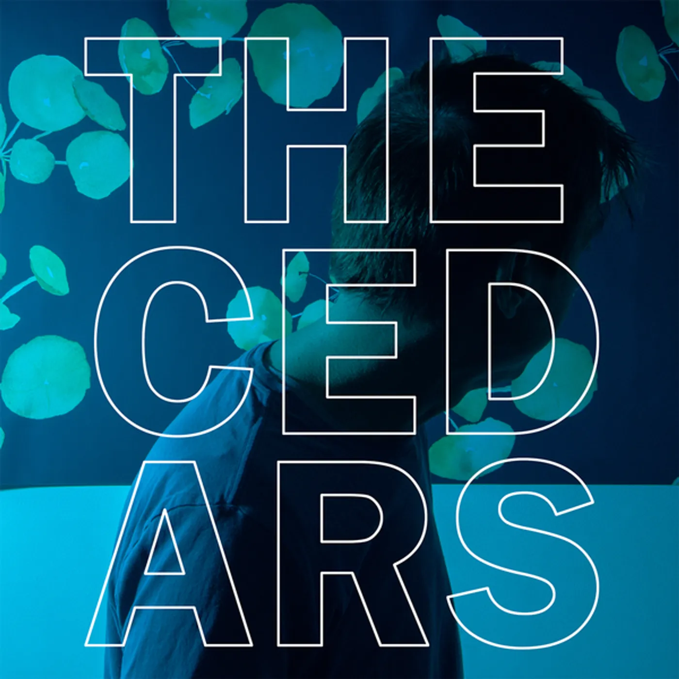 John Vanderslice CEDARS Vinyl Record