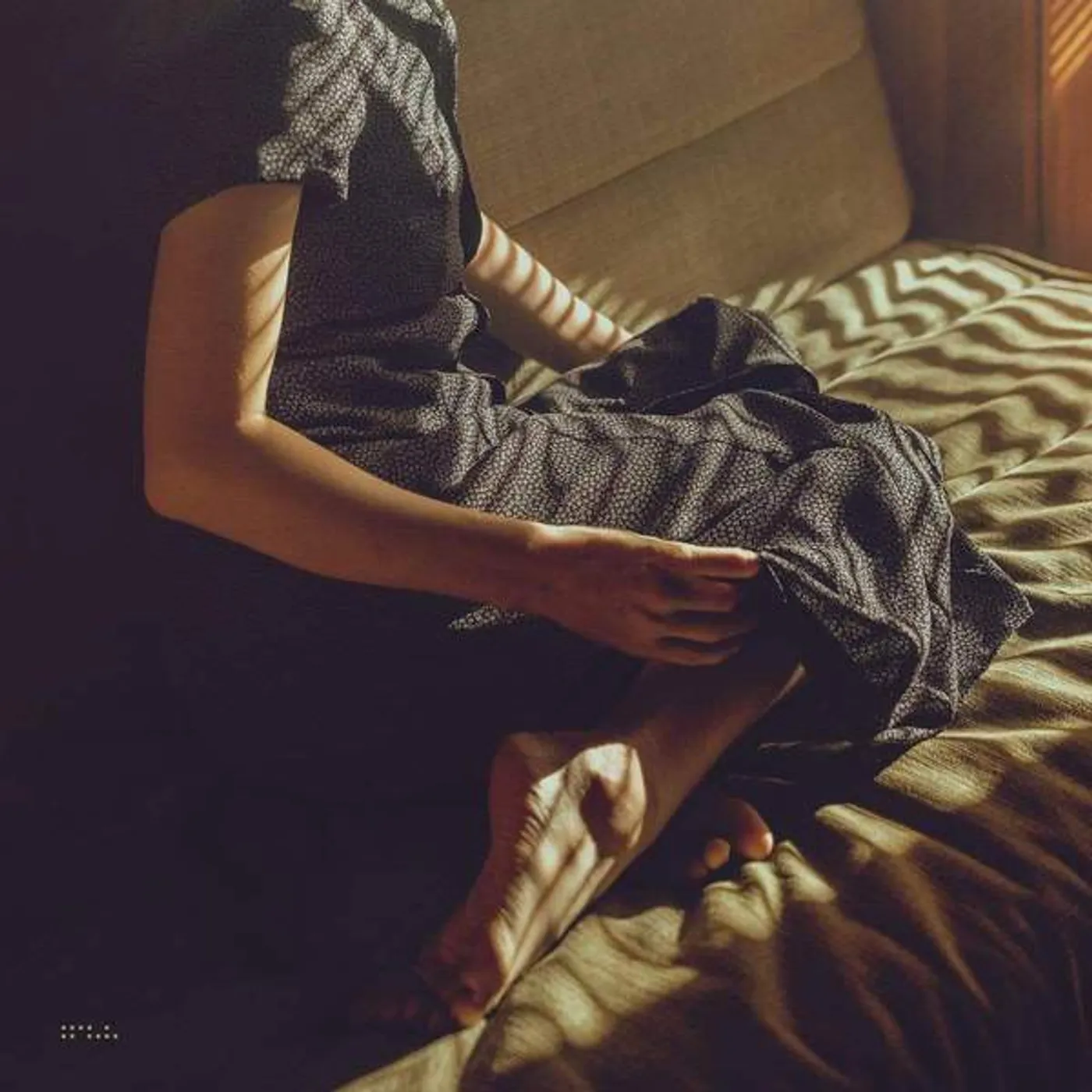 Tycho Weather Vinyl Record