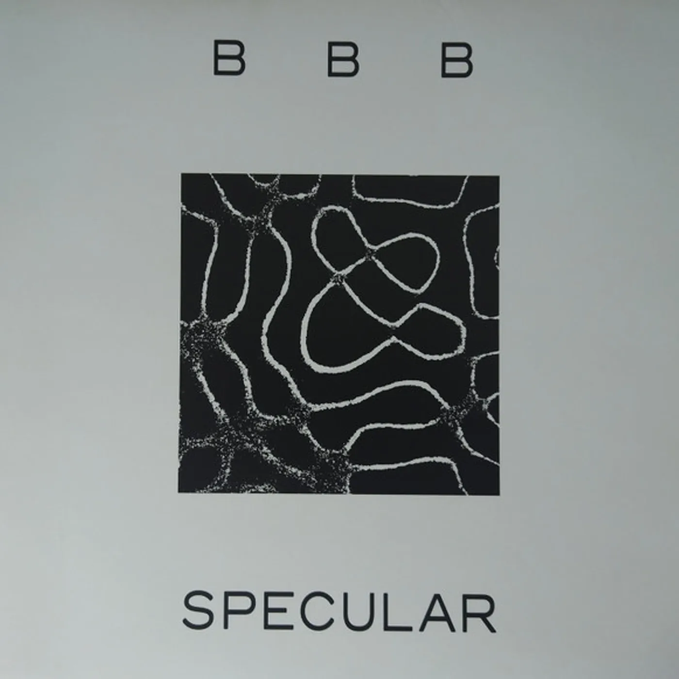 Bye Bye Bicycle SPECULAR Vinyl Record
