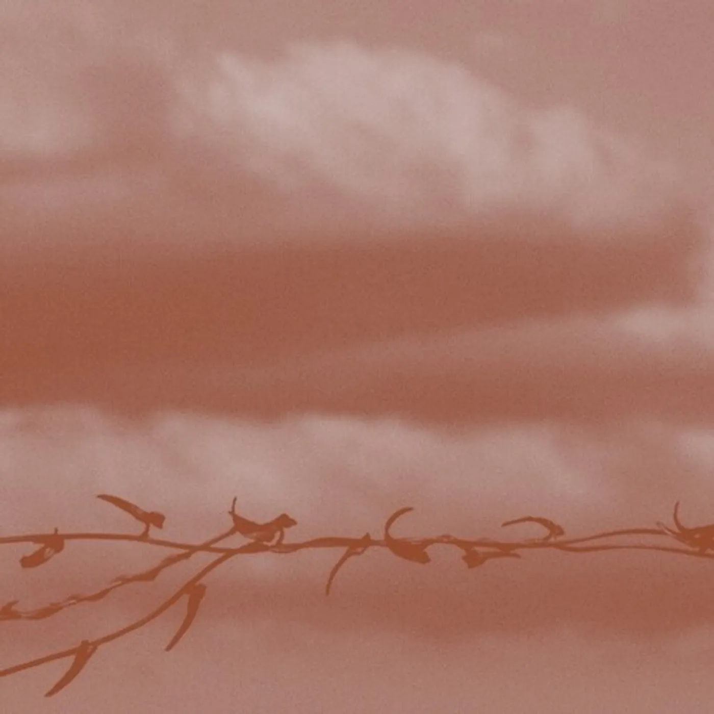 Geneva Skeen DOUBLE BIND CD