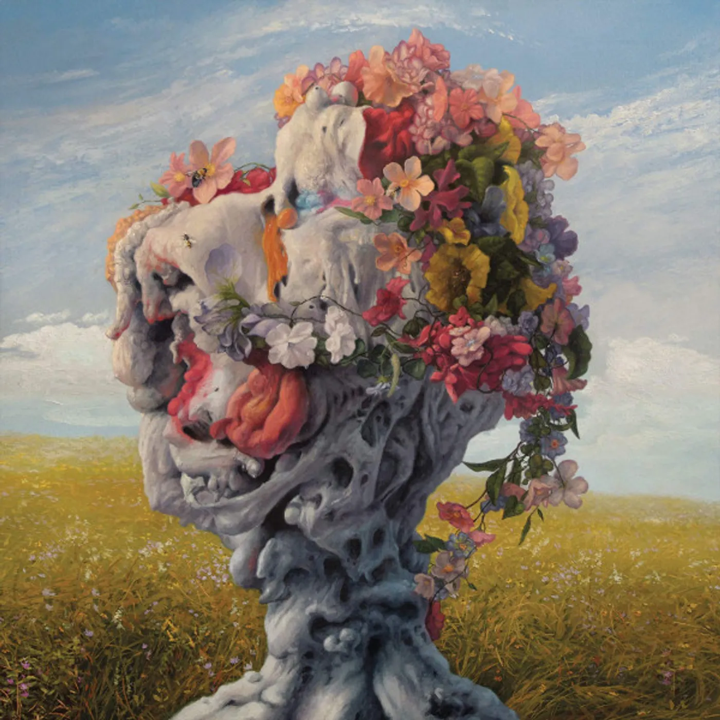 Wilderun Veil of Imagination Vinyl Record