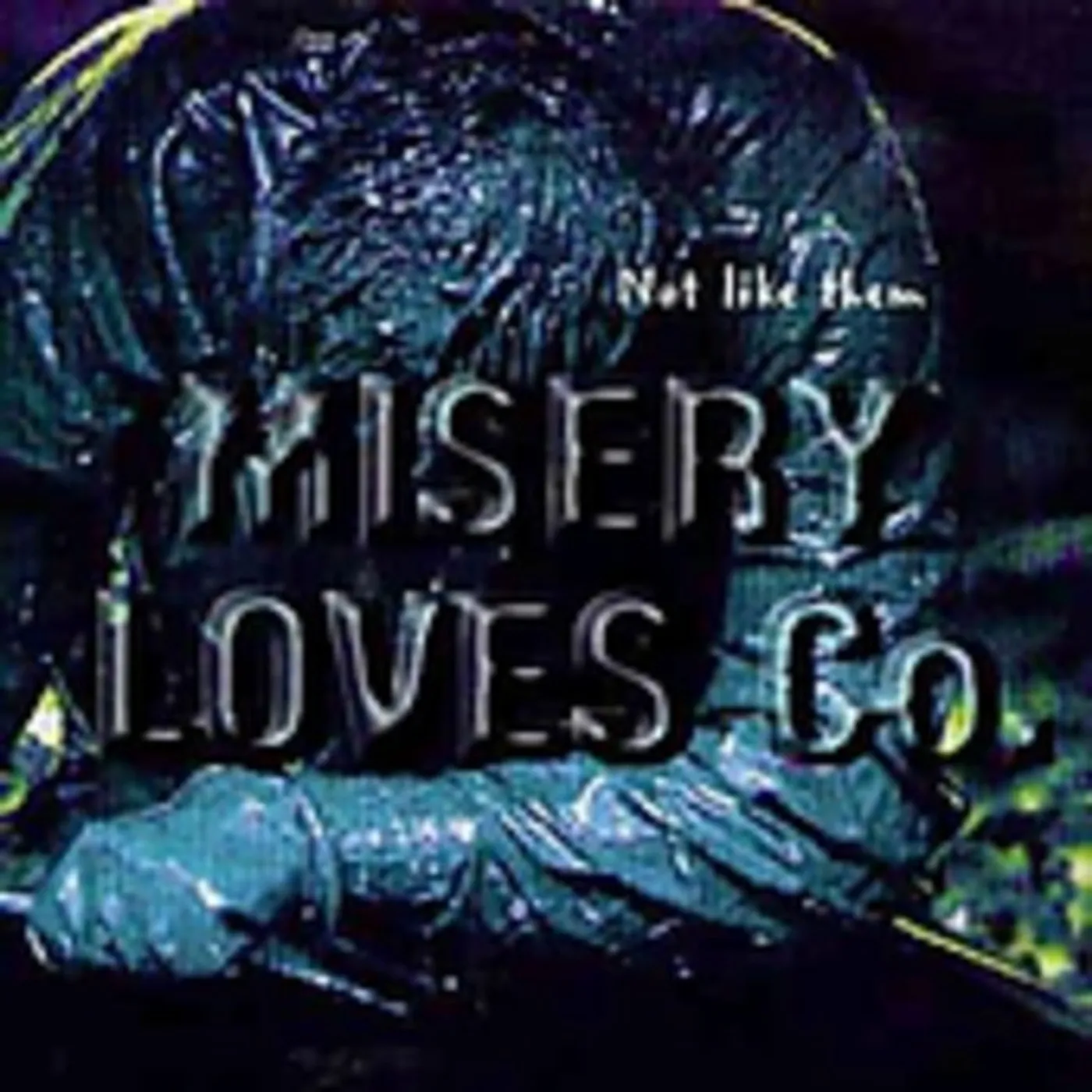 Misery Loves Co. NOT LIKE THEM CD