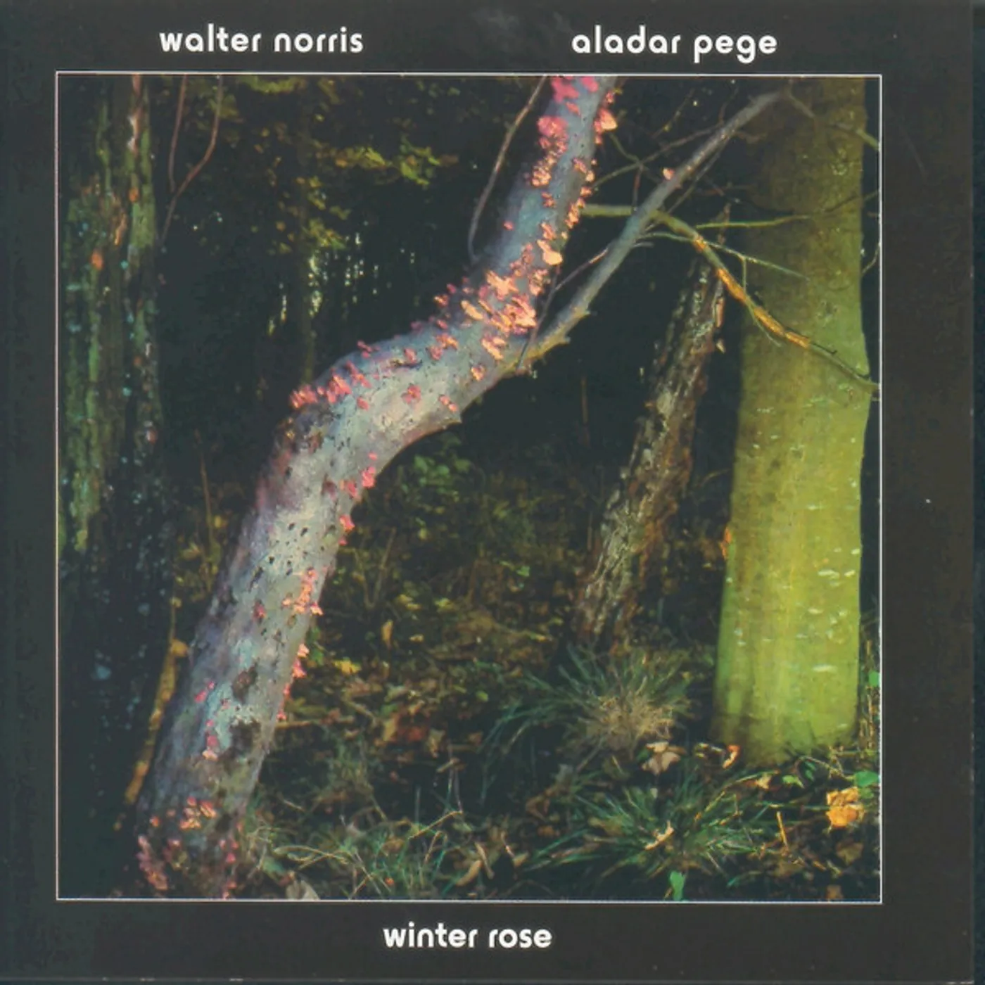 Walter Norris & Aladar Pege WINTER ROSE CD